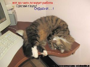 Ищу работу, не отходя от компьютера дать